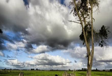 2022年世界杯比分将是怎样？