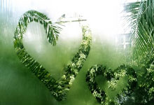 西班牙人队近期有哪些关键动态?阵容、赛事与引援都有新变化?